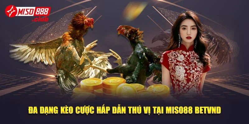 Đa dạng kèo cược hấp dẫn thú vị tại Miso88