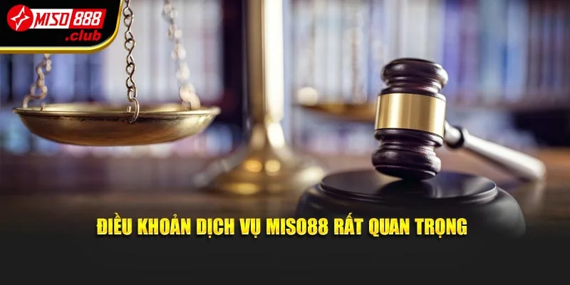 Điều khoản dịch vụ Miso88 rất quan trọng