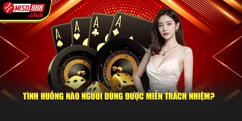 Tình huống nào người dùng được miễn trách nhiệm?