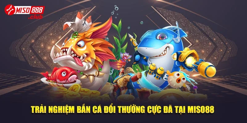 Trải nghiệm bắn cá đổi thưởng cực đã tại Miso88
