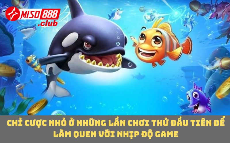 Chỉ cược nhỏ ở những lần chơi thử đầu tiên để làm quen với nhịp độ game