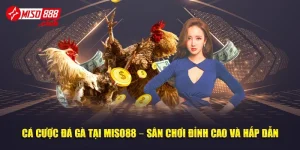 Cá Cược Đá Gà Tại Miso88 – Sân Chơi Đỉnh Cao Và Hấp Dẫn