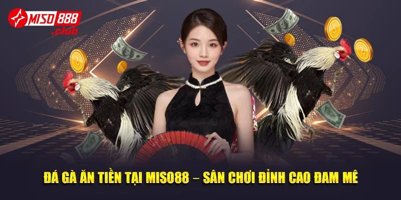 Đá Gà Ăn Tiền Tại MISO88 – Sân Chơi Đỉnh Cao Đam Mê